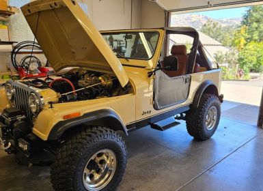 Vente Jeep CJ7 Occasion