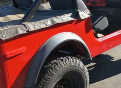 Achat Jeep CJ7 Occasion