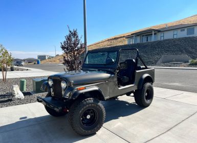 Achat Jeep CJ7 Occasion