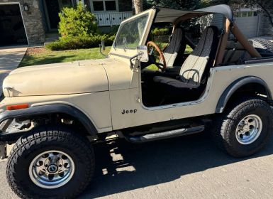 Jeep CJ7 Occasion