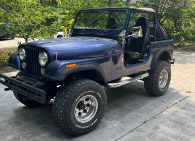 Achat Jeep CJ7 Occasion