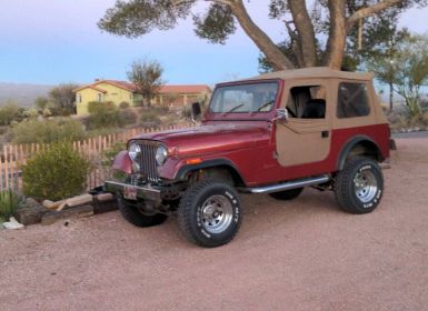 Achat Jeep CJ7 Occasion