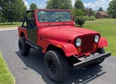 Achat Jeep CJ7 Occasion