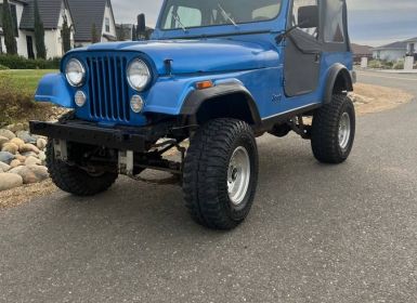 Achat Jeep CJ7 Occasion