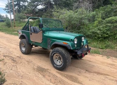 Achat Jeep CJ7 Cj-7  Occasion