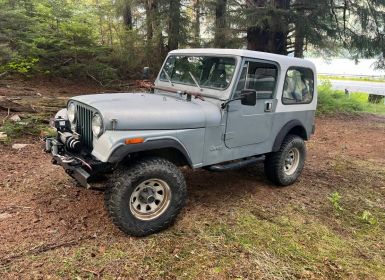 Achat Jeep CJ7 Cj-7  Occasion