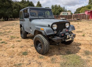 Achat Jeep CJ7 Cj-7  Occasion