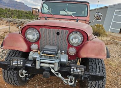 Jeep CJ7 levi 