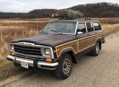 Jeep Grand Cherokee wagoneer 