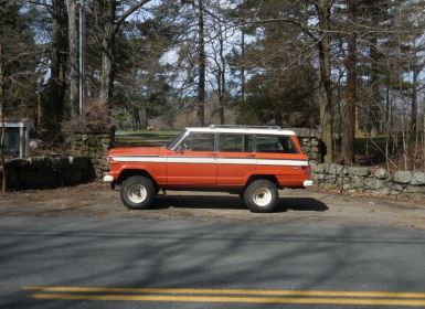Jeep Wagoneer Occasion