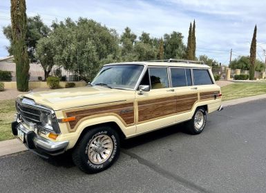 Vente Jeep Wagoneer Occasion
