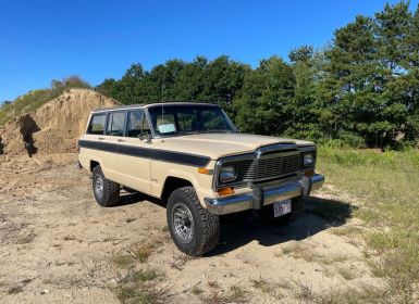 Vente Jeep Wagoneer Occasion