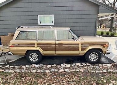 Achat Jeep Wagoneer Occasion