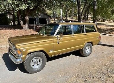 Achat Jeep Wagoneer Occasion