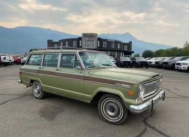 Vente Jeep Wagoneer custom special  Occasion