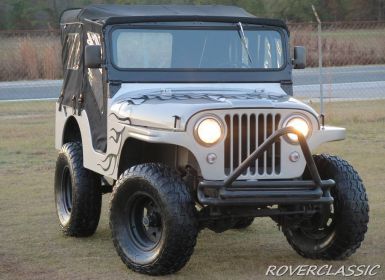 Achat Jeep Willys Occasion