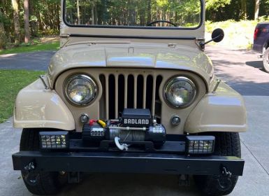 Achat Jeep Willys Occasion