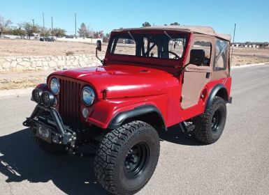 Achat Jeep Willys Occasion