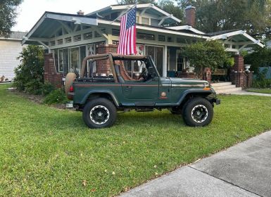 Jeep Wrangler Occasion