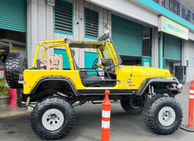 Jeep Wrangler Occasion