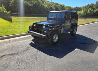 Jeep Wrangler Occasion