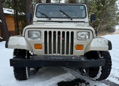 Jeep Wrangler Occasion