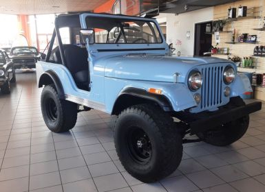 Achat Jeep Wrangler CJ5 V8 304 CI 1979 BLEUE Occasion