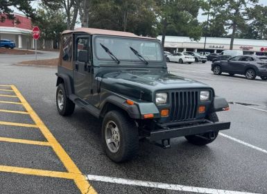 Jeep Wrangler se 4x4  Occasion