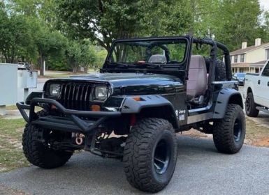 Jeep Wrangler yj  Occasion