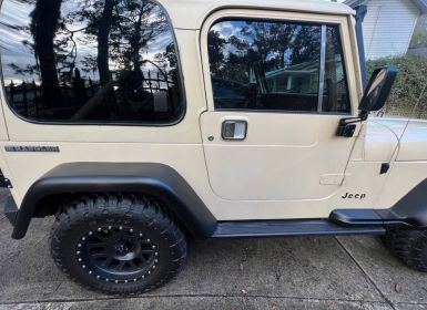 Jeep Wrangler Yj  Occasion