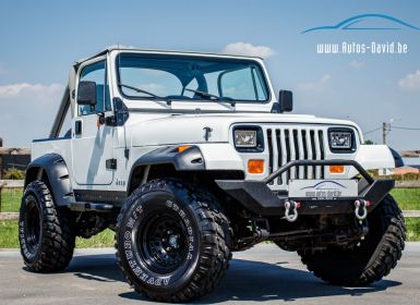 Achat Jeep Wrangler YJ 4.2 4X4 Automaat SOFT TOP - OLDTIMER - LED KOPLAMPEN - BLAUPUNKT - ACHTERBANK Occasion