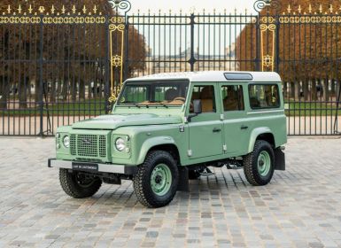 Achat Land Rover Defender 110 TD4 *Grasmere Green* Occasion