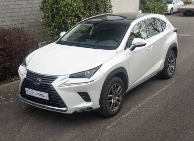 Lexus NX 300H 4WD LUXE MY20 197CV Occasion