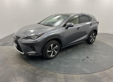 Lexus NX MY20 MM19 300h 4WD Executive