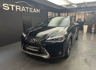 Lexus UX executive 250 CV