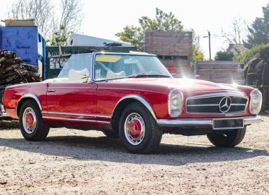 Mercedes 230 SL ( Restauration 2021) Occasion