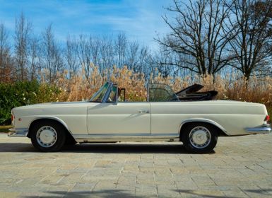 Mercedes Classe S 250 SE CABRIOLET Occasion