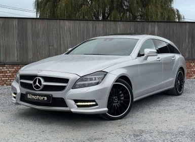 Achat Mercedes CLS 250 cdi / amg / schuifdak / leder / camera / cruise / led / trekhaak Occasion