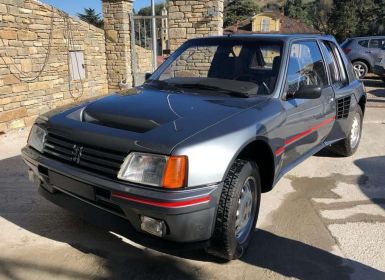 Achat Peugeot 205 Turbo 16 Neuf