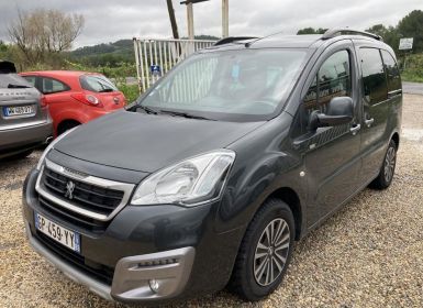 Peugeot Partner Tepee II (3) 1.6 BLUEHDI 100 cv Occasion