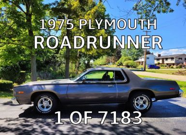 Achat Plymouth Road runner Neuf