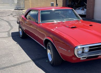 Pontiac Firebird Occasion