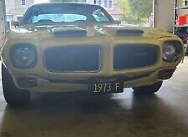 Achat Pontiac Firebird Occasion