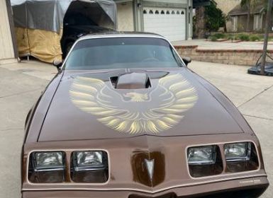 Achat Pontiac Firebird Occasion