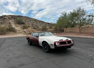 Achat Pontiac Firebird Occasion