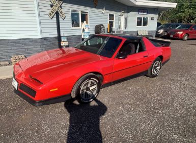 Achat Pontiac Firebird trans am  Occasion