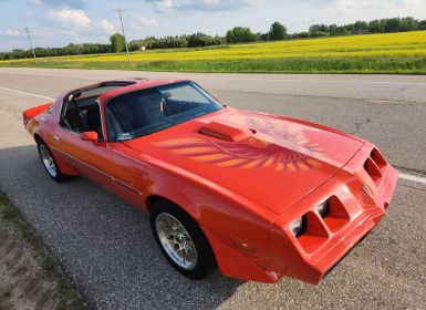 Achat Pontiac Firebird trans am  Occasion