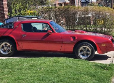 Achat Pontiac Firebird trans am  Occasion