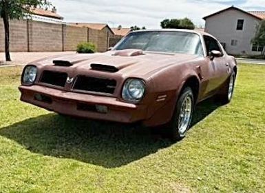 Achat Pontiac Firebird trans am  Occasion