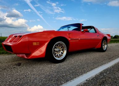 Vente Pontiac Firebird trans am  Occasion